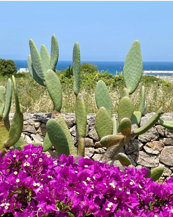 Appartamento Corallo Otranto Esterno foto